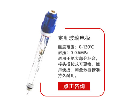 玻璃電(diàn)極